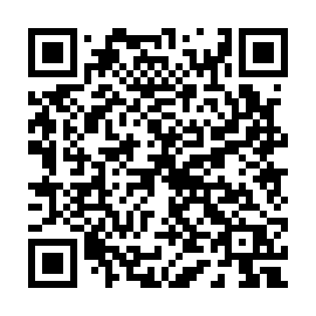 QR code for P4012P