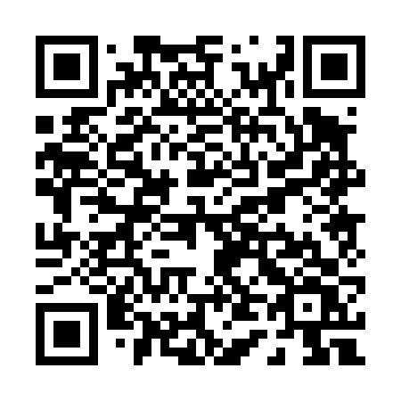 QR code for P4046V