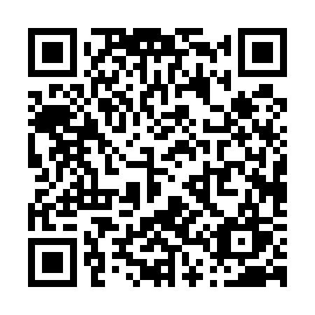 QR code for plate P40-53W