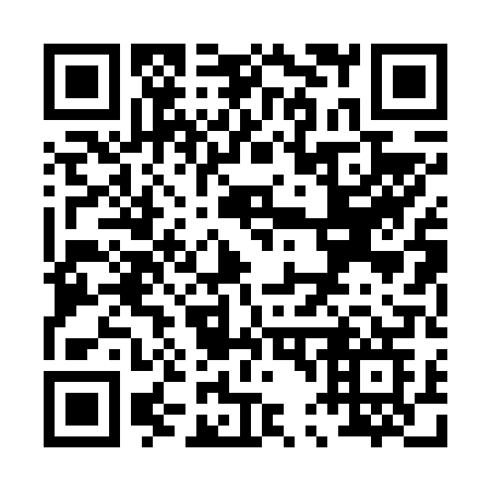 QR code for P4060G