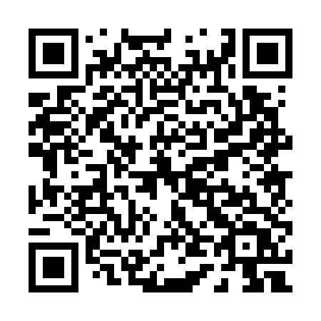 QR code for P4074T