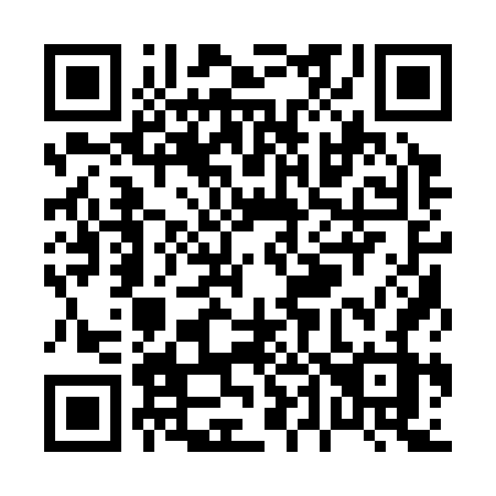 QR code for P4136Z