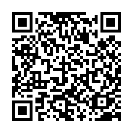 QR code for P4141Q