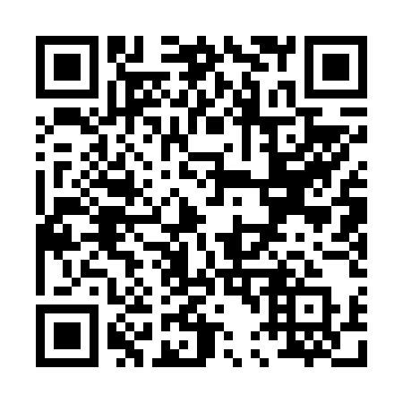 QR code for plate P41-65Q