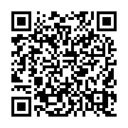 QR code for P4195Y