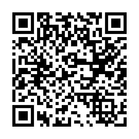 QR code for P4197S