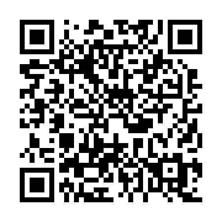 QR code for P42-20M