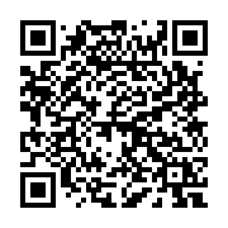 QR code for P4317X