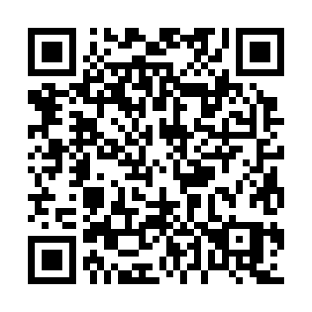 QR code for plate P43-38Q