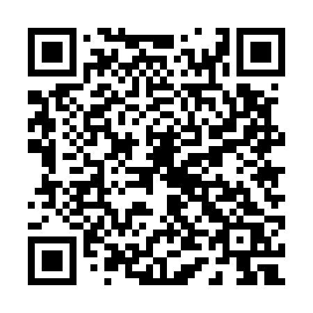 QR code for P45-52S