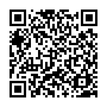 QR code for plate P45-73C