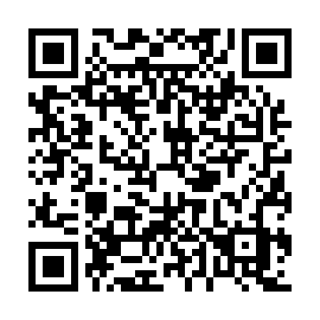QR code for P46-12Z