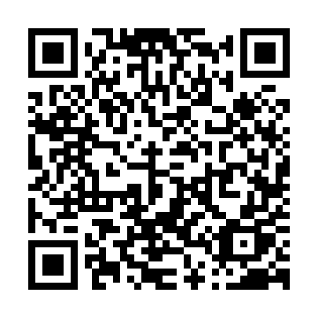 QR code for P46-85P