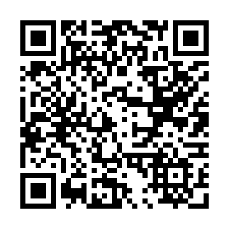 QR code for P46-96L
