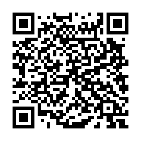 QR code for plate P46-02B