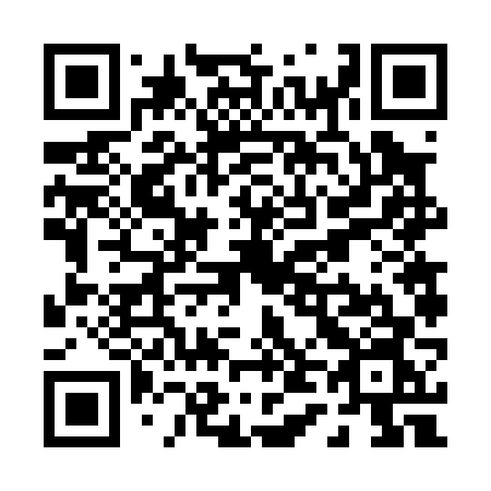 QR code for P4606N