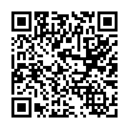 QR code for plate P46-09V