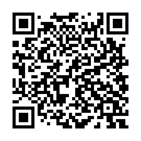 QR code for plate P46-14V