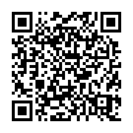 QR code for P4636S