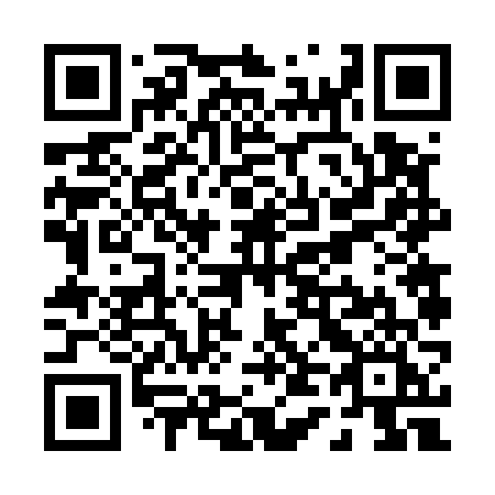 QR code for P4656I
