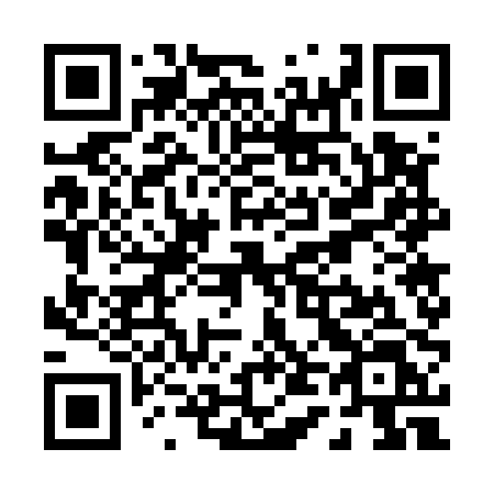 QR code for P4750L