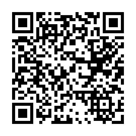 QR code for P4838W