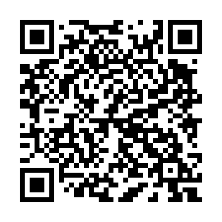 QR code for plate P48-43G