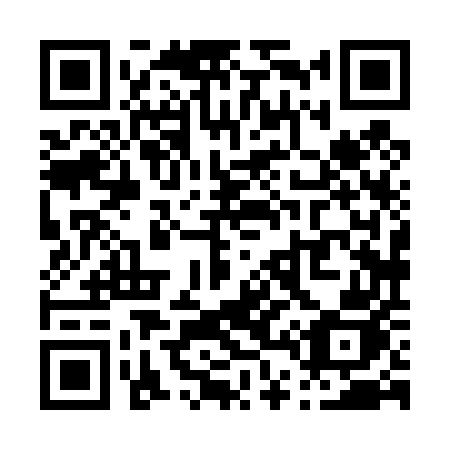 QR code for plate P48-45J