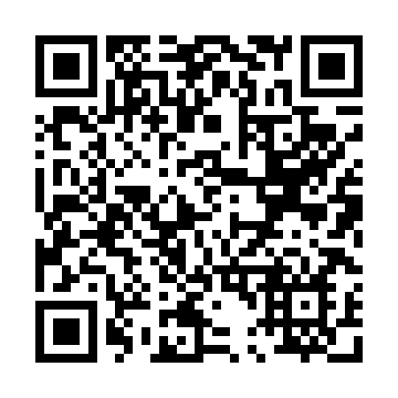 QR code for P4848N