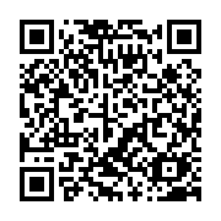 QR code for P49-13M