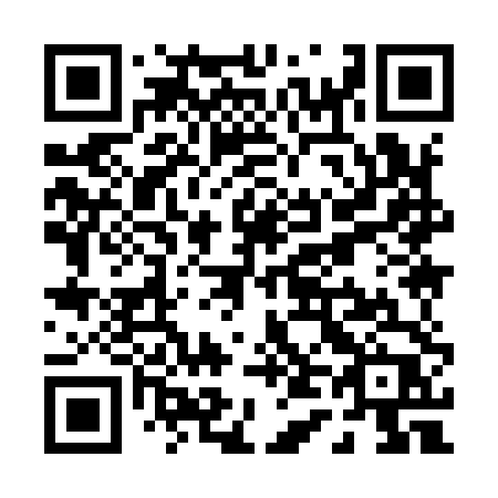 QR code for P49-94P