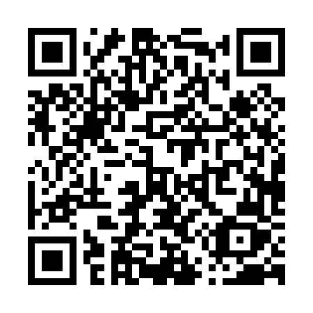 QR code for P50-06Z