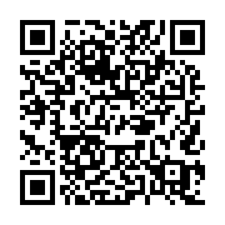 QR code for P5095A