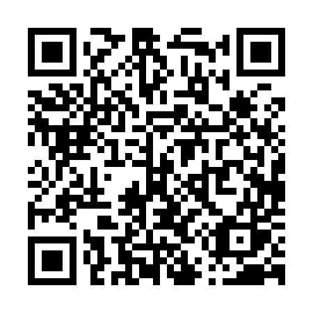 QR code for P5095S