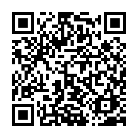QR code for P51-13C