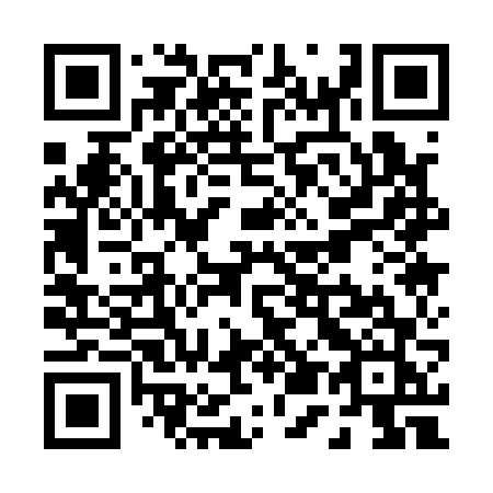 QR code for P51-16J