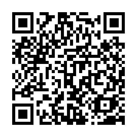 QR code for P51-27I