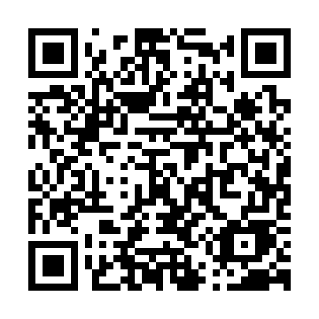 QR code for P51-37E
