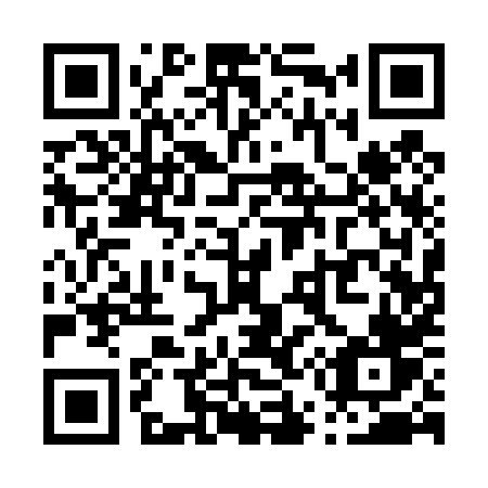 QR code for P51-48V