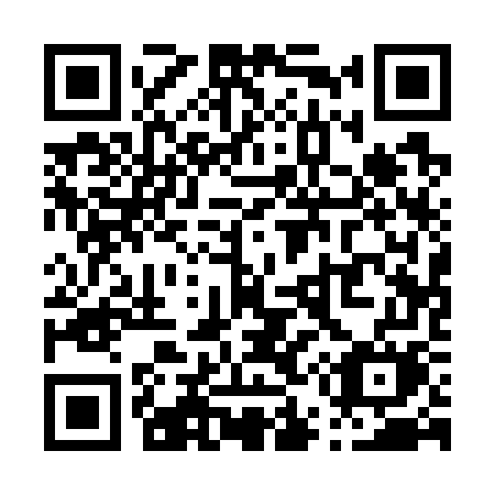 QR code for P51-77M