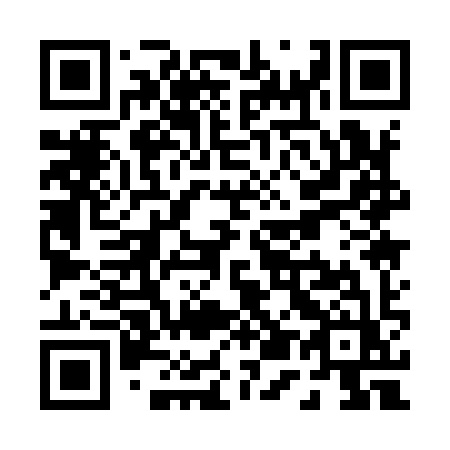 QR code for P51-99Z