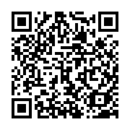 QR code for plate P51-91I