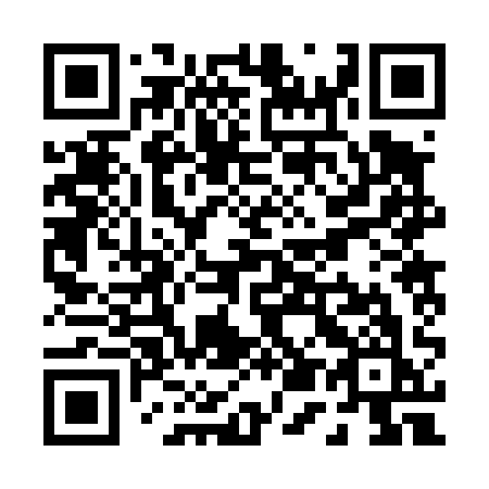 QR code for P52-41K
