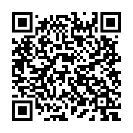 QR code for P52-50N