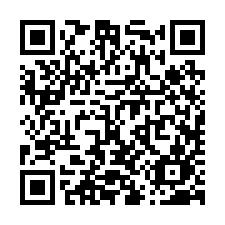 QR code for P5221N