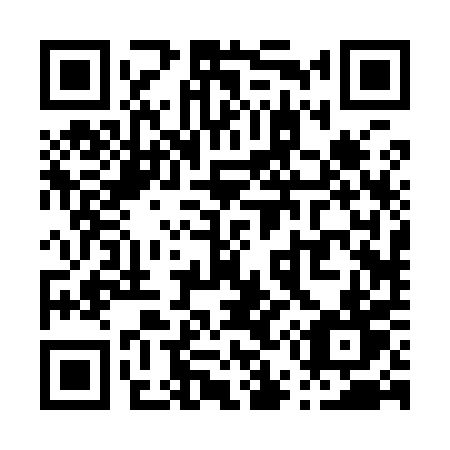 QR code for plate P52-90T