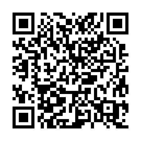 QR code for P53-28C