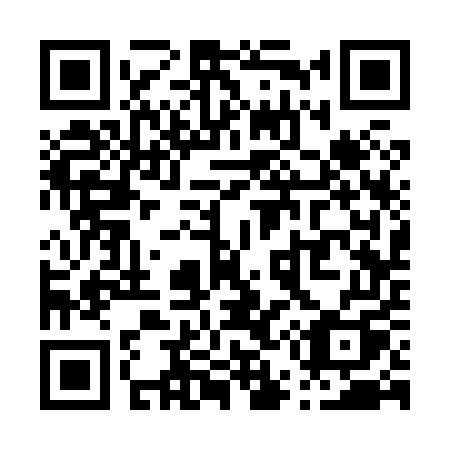 QR code for P53-85Q