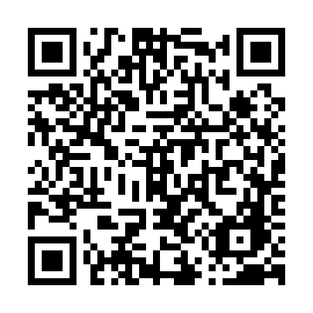 QR code for P5316G