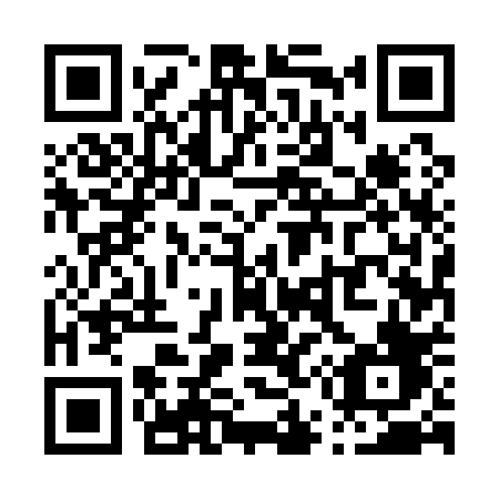 QR code for P55-10F